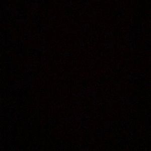 Meet your Posher, Shane